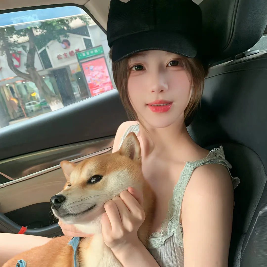 风流侠盗